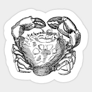 KING of CRAB Sticker